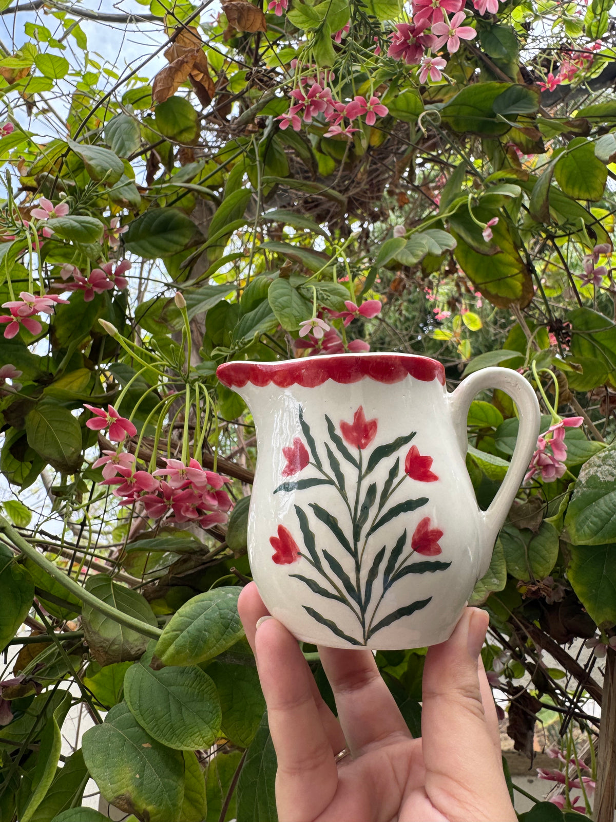 Crimson Tulip Milkpot
