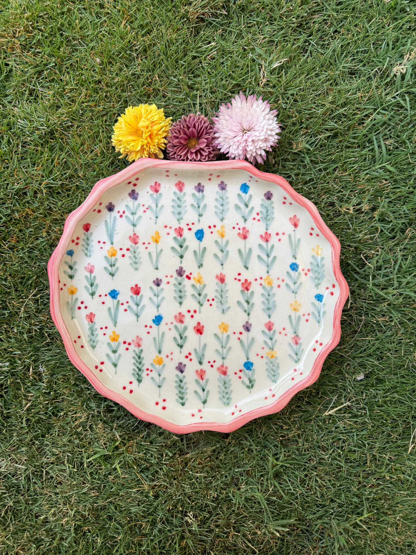 Pink Rim Shell Plate