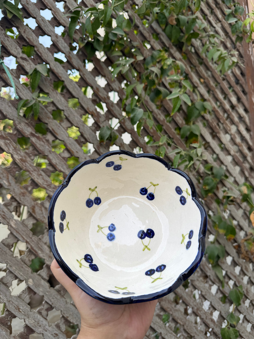 Blueberry Fields Scalloped Ramen Bowl
