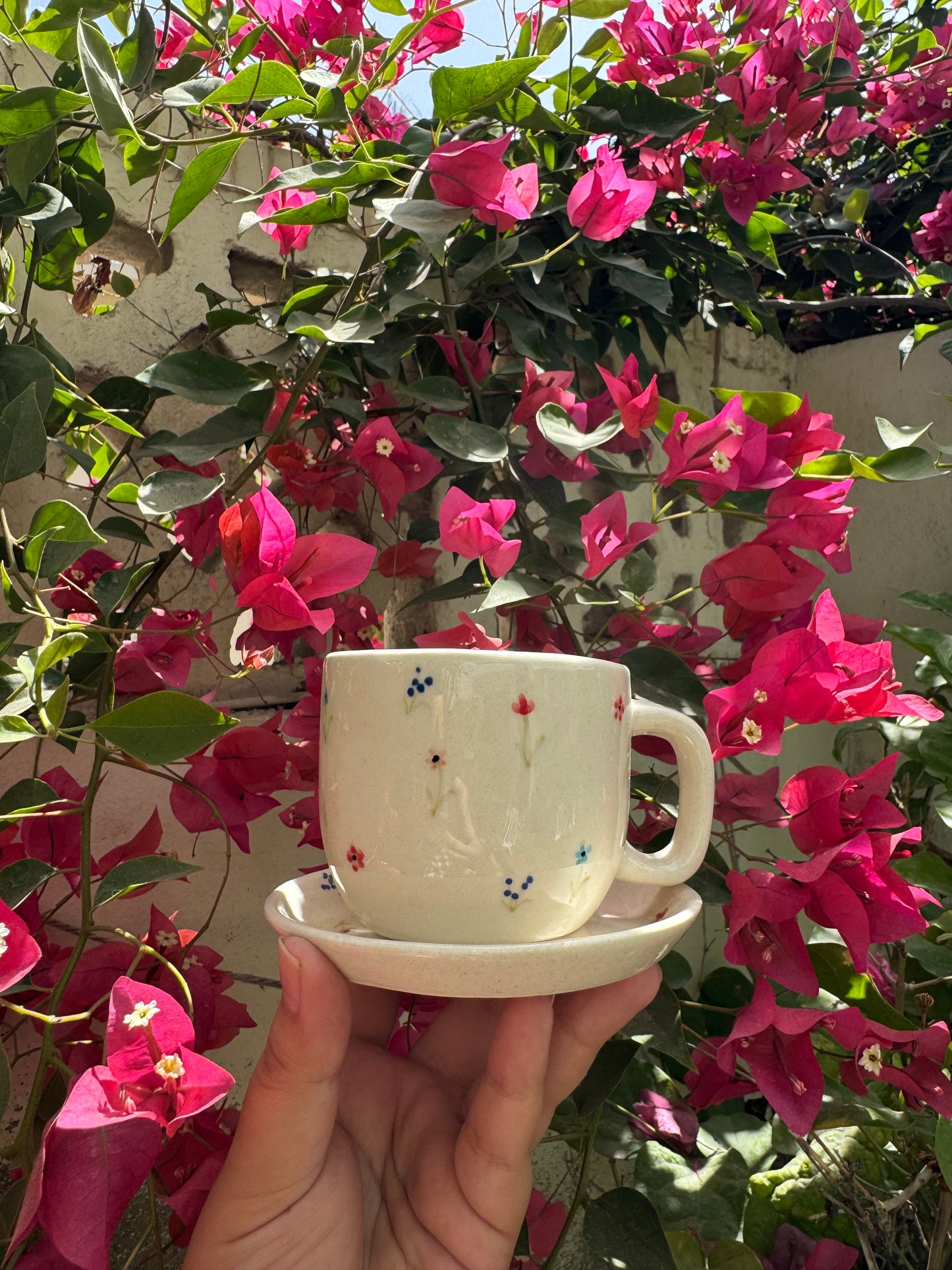 Gulbahar Cup & Saucer Set