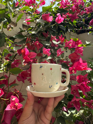 Gulbahar Cup & Saucer Set