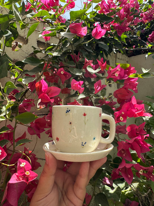 Gulbahar Cup & Saucer Set