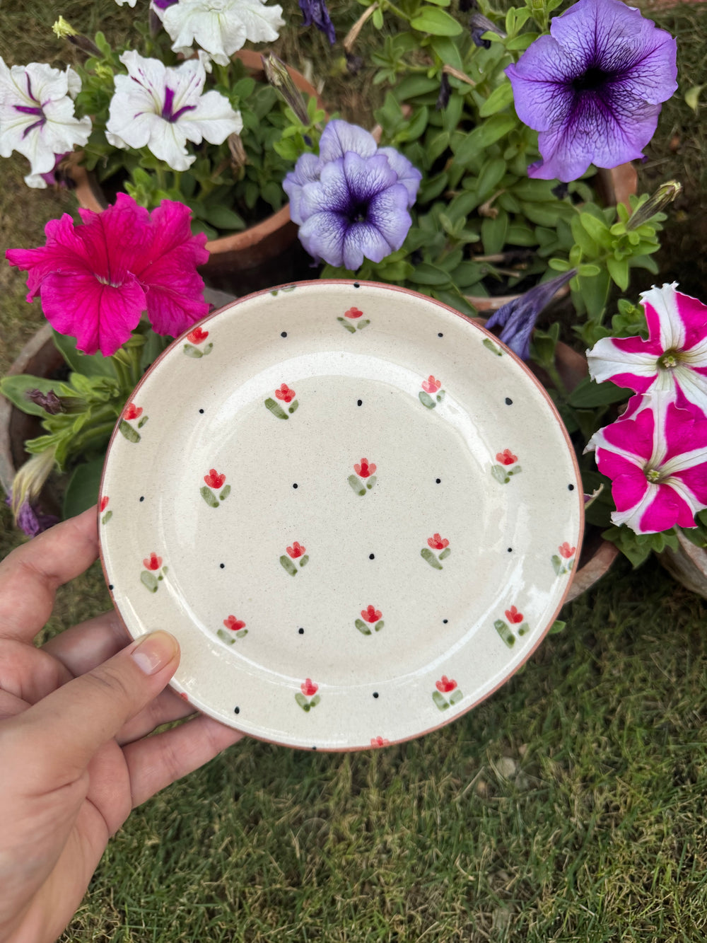 Gul Noor Dessert Plate