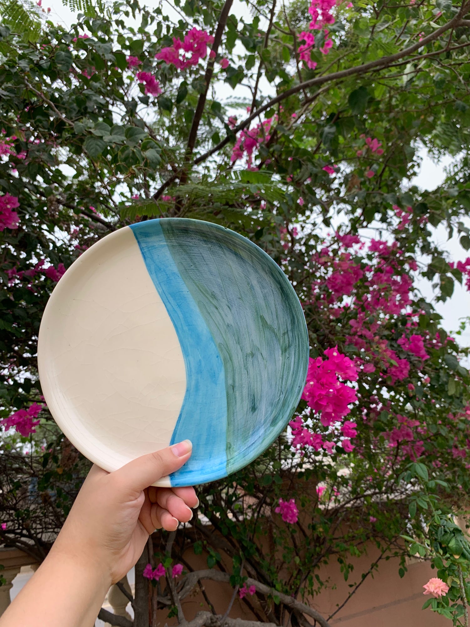 Waves Plate