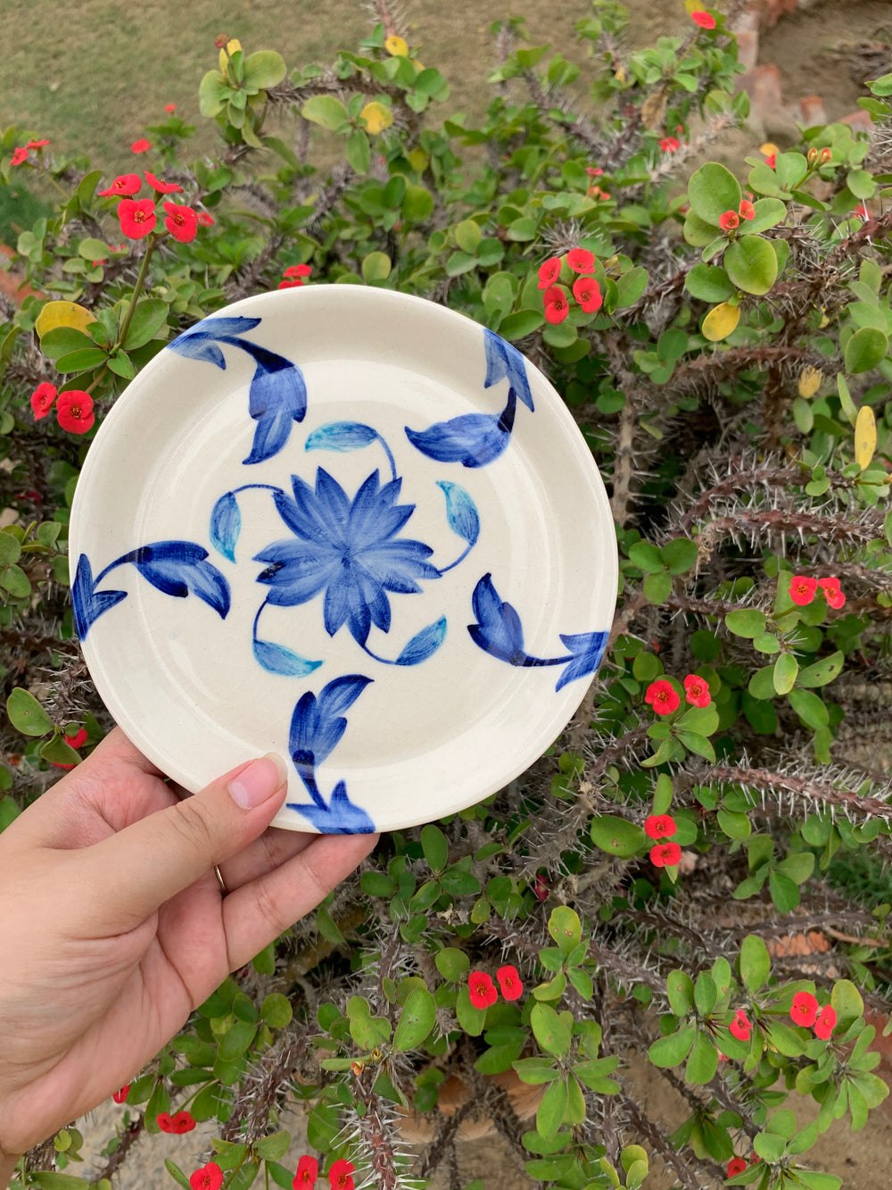 Blue-bell Plate