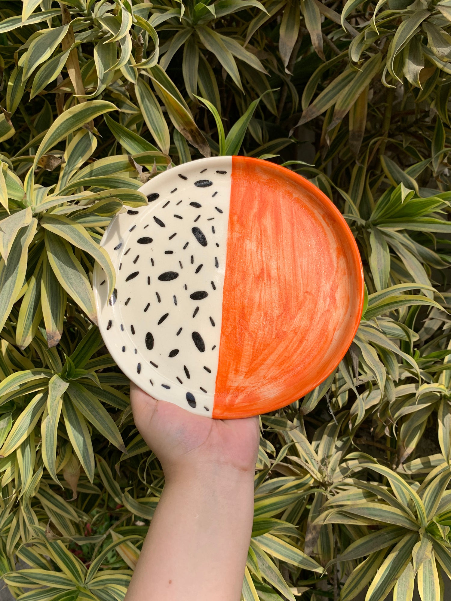 Orange BW plate