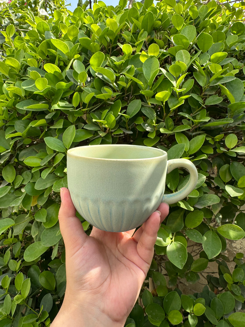 Pistachio Large Cup