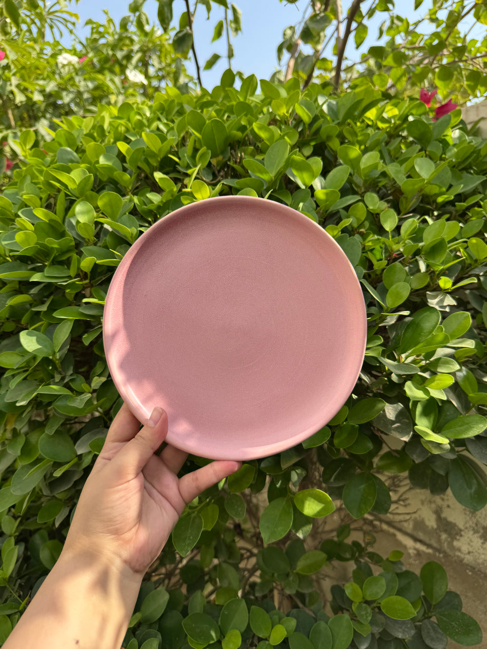 Reactive Blush Pink - 8"