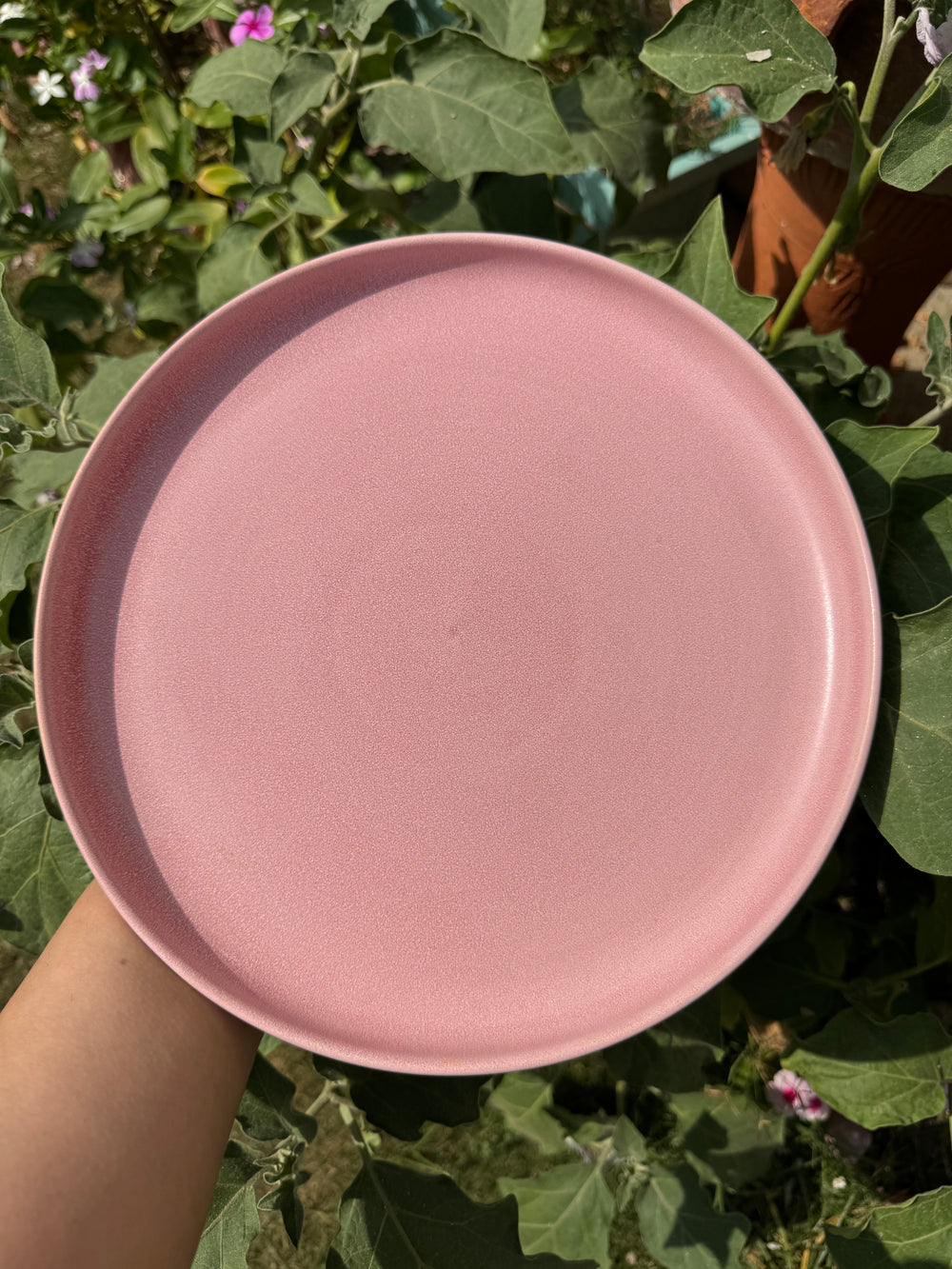 Reactive Blush Pink - 10.5"