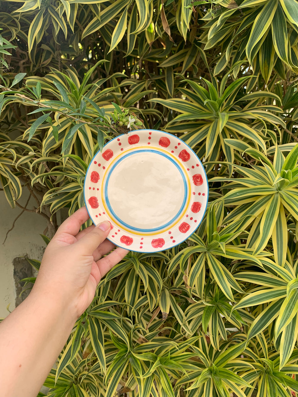 Red Dots Plate