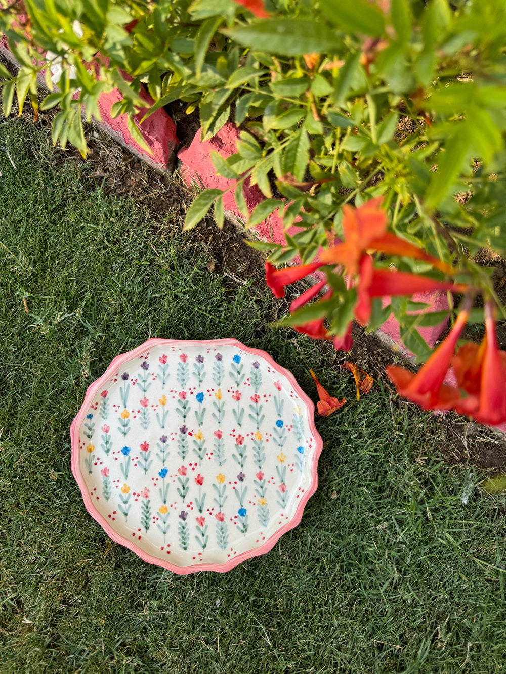 Pink Rim Shell Plate