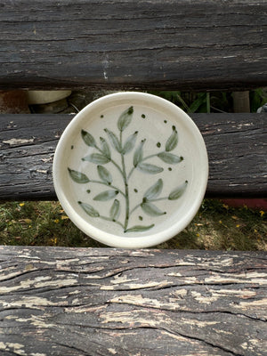 Fern Coaster