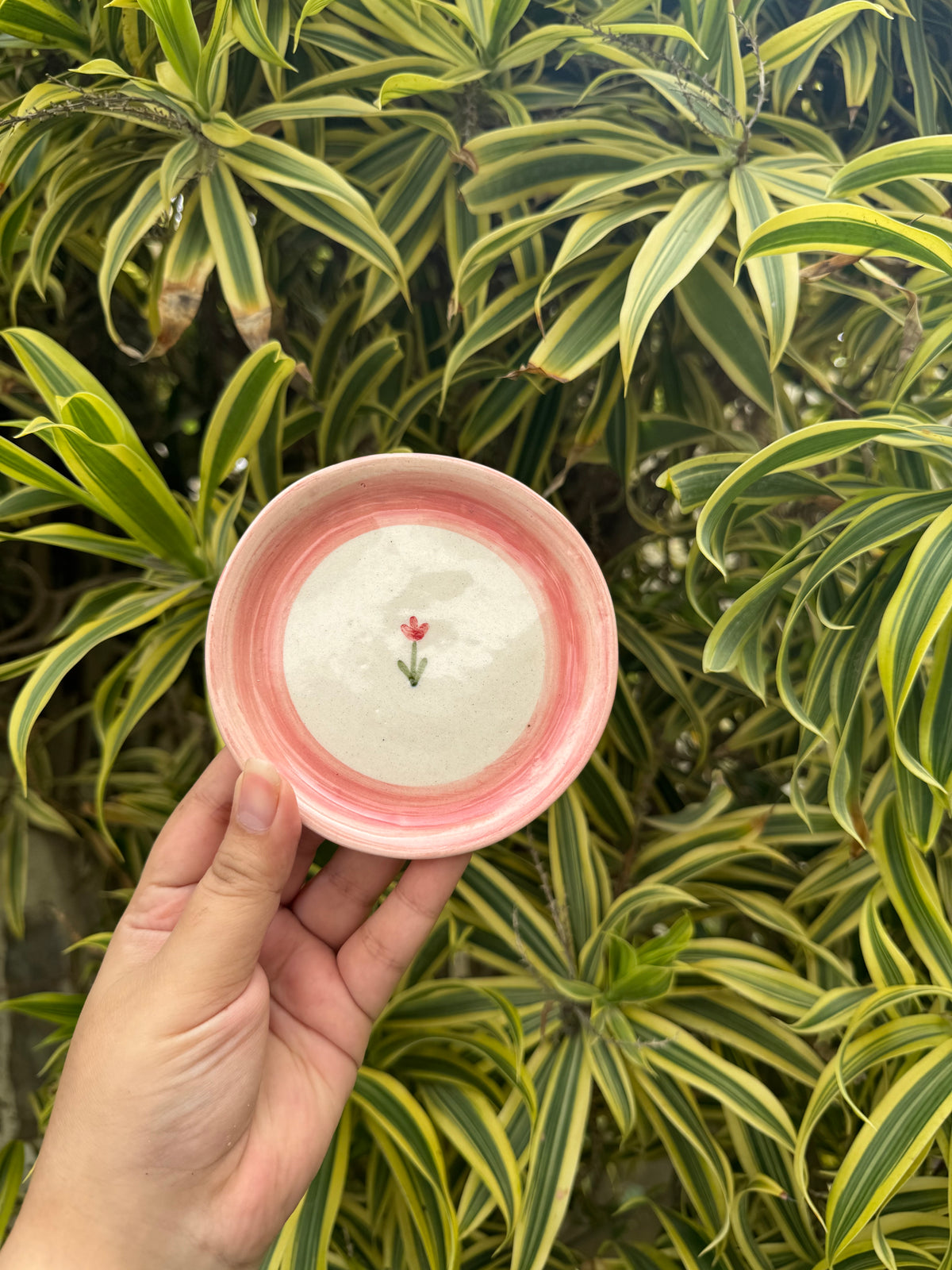 Rosetto Cup & Saucer Set